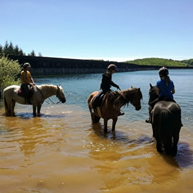 Les sabots dans l'eau