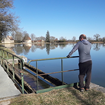 Randonnée à Avril-sur-Loire / Boucle de Forge Neuve - AVRIL-SUR-LOIRE