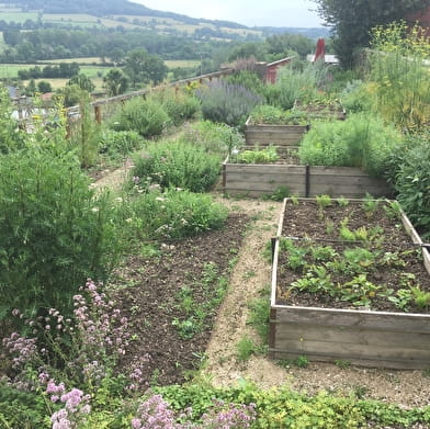 Apothicairerie et Hospice du XVIIème 