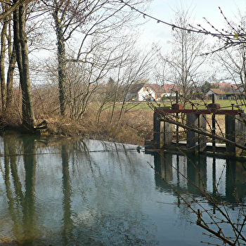 VILLEVIEUX - VILLEVIEUX