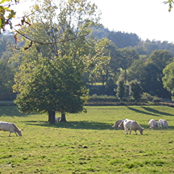 Mussy Le Rouvray - VAUBAN