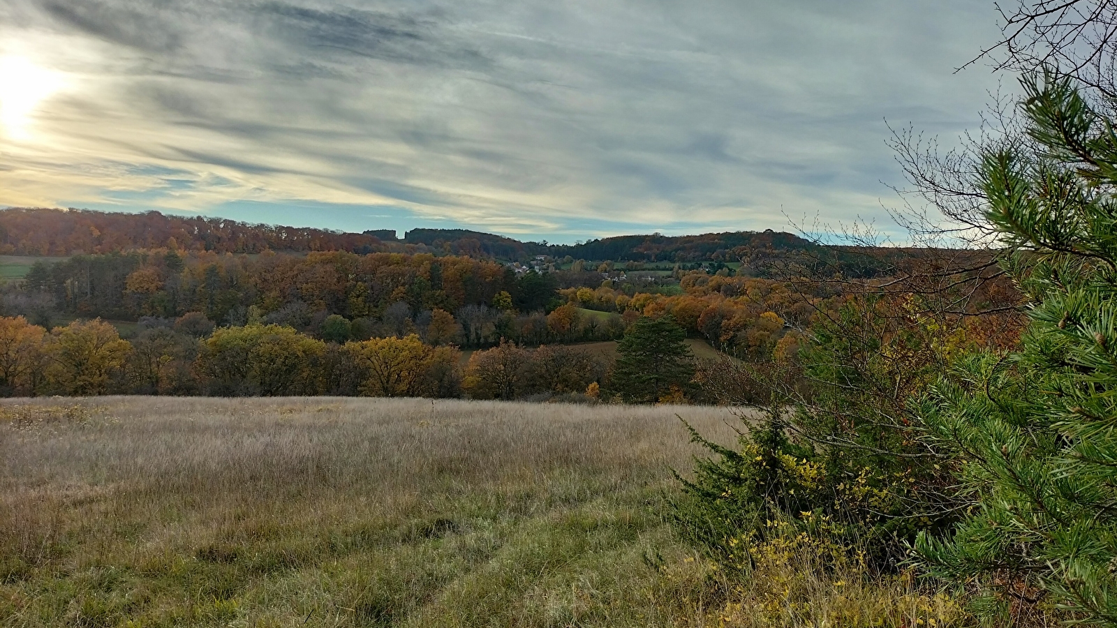 Le reveil du bois de Montfée_ENS2026