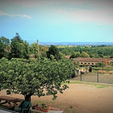 Domaine des deux voutes