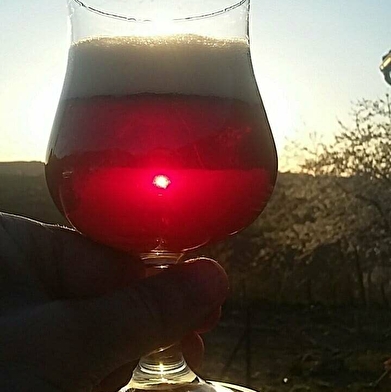 La Couleuvre - Brasserie artisanale