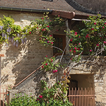 Le Cocon - BONNAY-SAINT-YTHAIRE