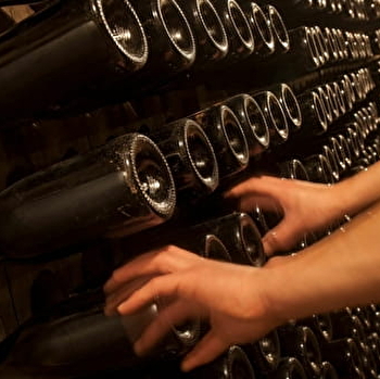 Parigot Richard - SAVIGNY-LES-BEAUNE