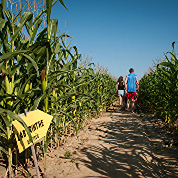 Ferme des Glaciers - SAINT-MARTIN-DU-TERTRE