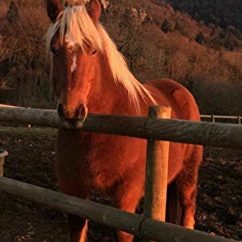 Jura équestre - CRENANS