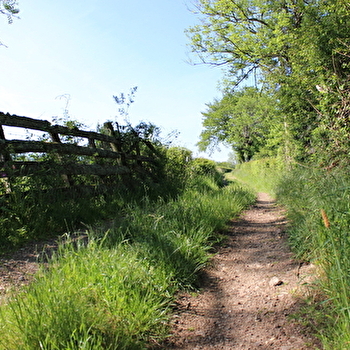 Au fil de l'Arconce - SAINT-DIDIER-EN-BRIONNAIS