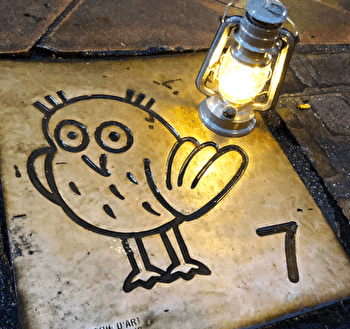 Les nocturnes de Noël à la lanterne - DIJON