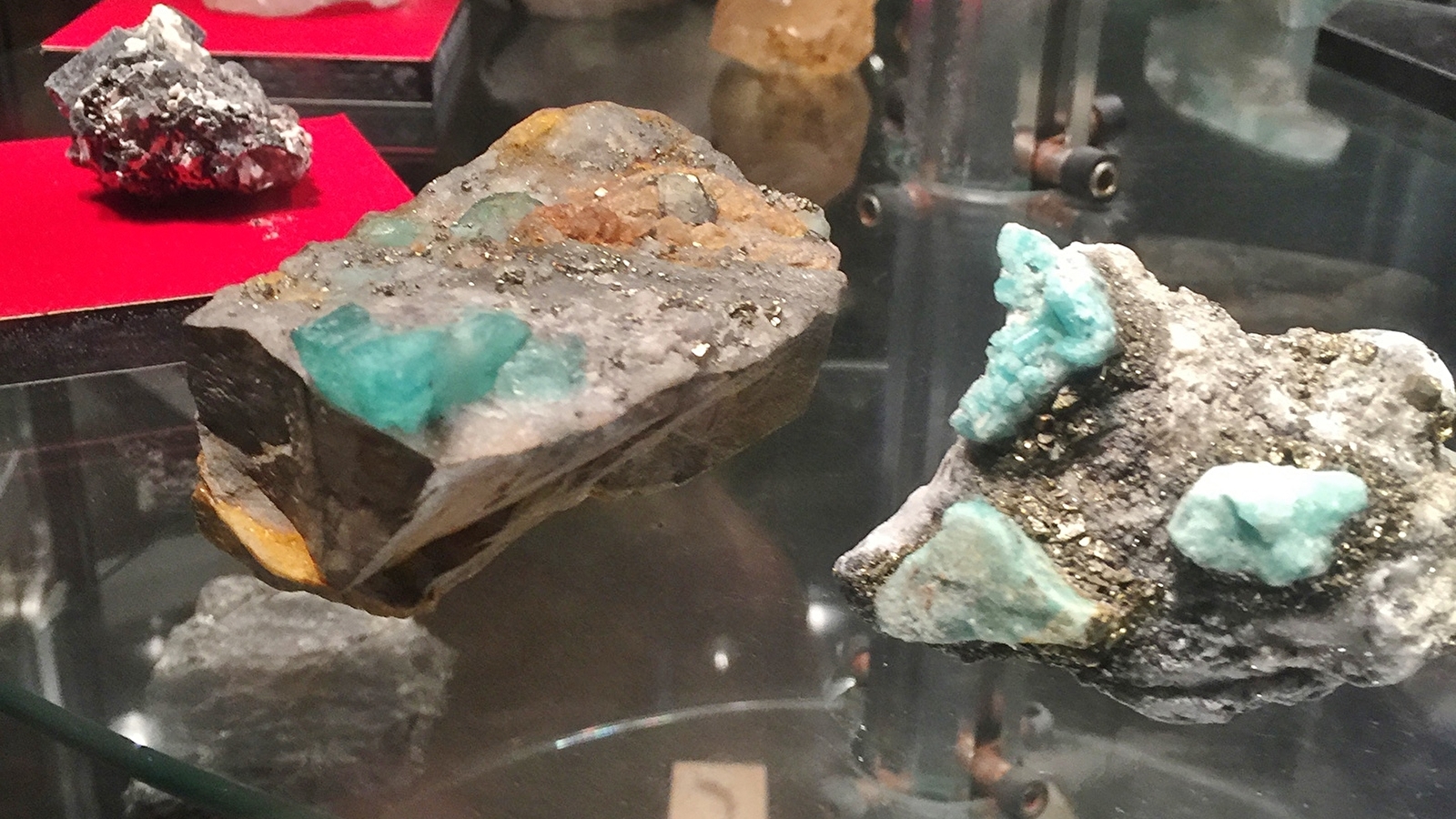 Association paléontologique et minéralogique du Dampierrois