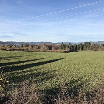 Randonnée - Le tour de la Grande Montagne - LE POIZAT-LALLEYRIAT