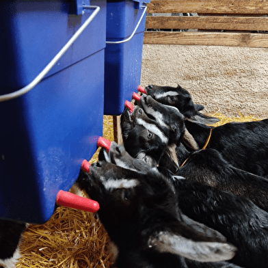 Les Coulisses du Terroir - La Ferme de Masolat