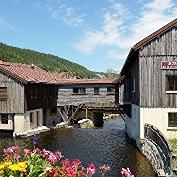 3 jours d'itinérance dans le Haut-Jura - Le lynx intrépide - MORBIER