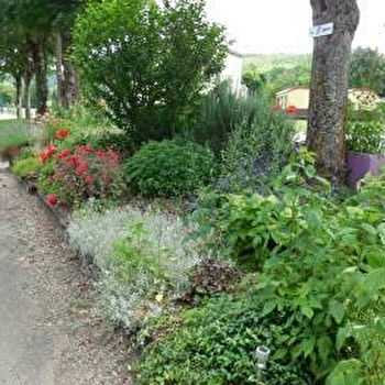 Camping des Iles - SAINT-JULIEN-DU-SAULT