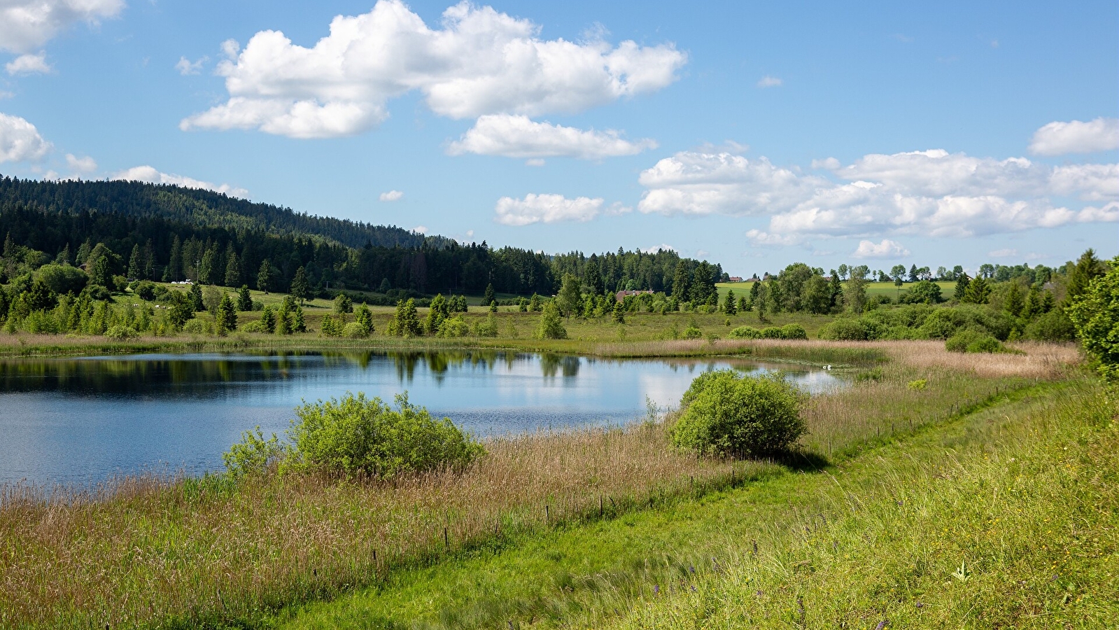 Circuit de découverte du lac des Rouges Truites