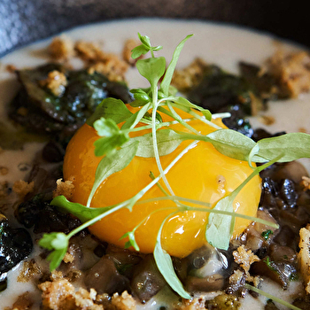 Restaurant Castel de Très Girard - MOREY-SAINT-DENIS