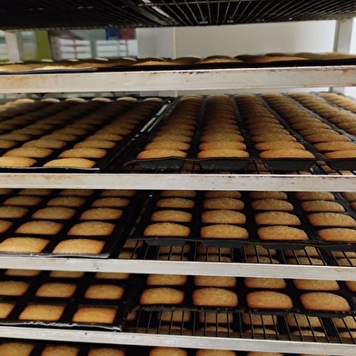 Balade gourmande | Vélo & Douceurs | Visite et dégustation dans une fabrique de biscuits