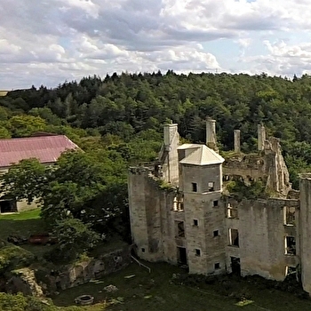 Château de Rochefort - ASNIERES-EN-MONTAGNE