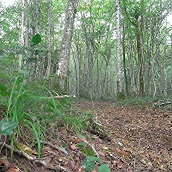 Chenecey Buillon - n° 57 - LARNOD