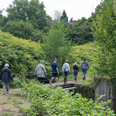 Balade contée - La légende de la Vivre