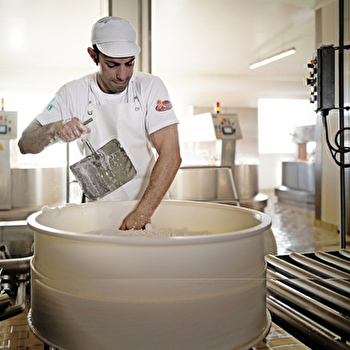 Visite de la Fruitière Les Délices du Plateau - PLASNE