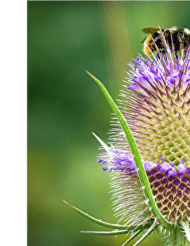 Boucle cyclo 11 'Forêts, prairies et vallons' - BESANCON