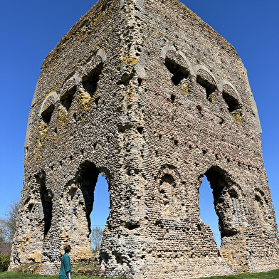 Visite guidée des monuments gallo-romains d'Autun