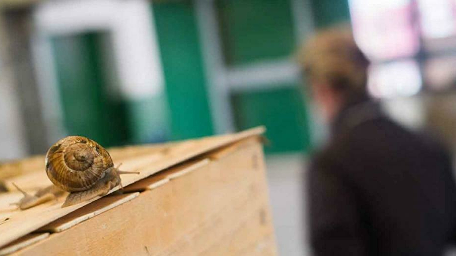 La Maison de Jacote by Jacot Billet