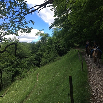 Loue Caval - Éthologie Équitation d'extérieur