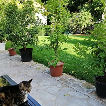 Le Puits d'Athie - APPOIGNY