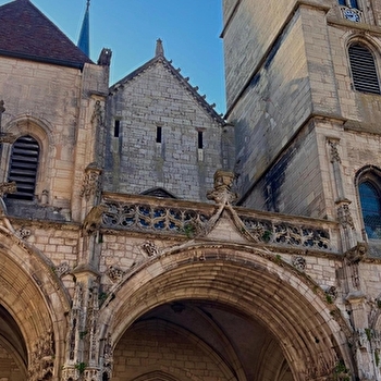 Montée à la tour - église Notre-Dame d'Auxonne - AUXONNE