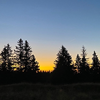 Noreko - BOIS-D'AMONT