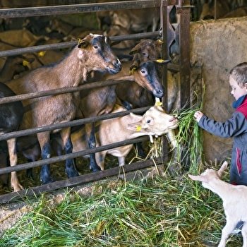 La Ferme du Port Aubry - COSNE-COURS-SUR-LOIRE