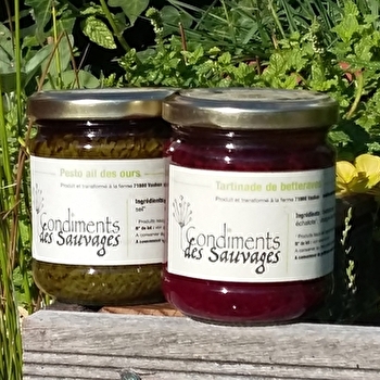 Les Condiments des Sauvages - SAINT-LAURENT-EN-BRIONNAIS