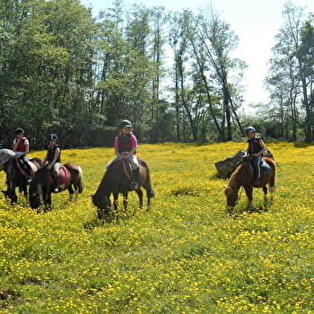 Poney Club du Moulin - VILLAINES-LES-PREVOTES