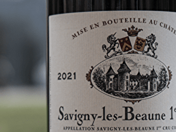 Dégustation Découverte - Château de Savigny-lès-Beaune - SAVIGNY-LES-BEAUNE