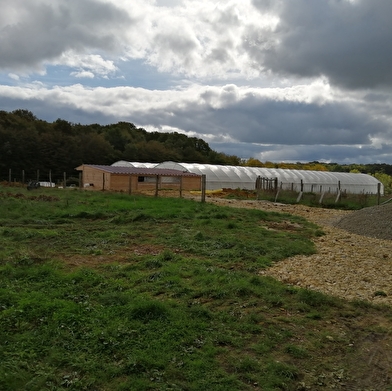 Le Spirulinier Comtois