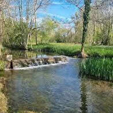 Balade à vélo - Lavoirs et vignobles de l'Auxerrois