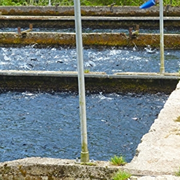 Pisciculture du Moulin de Pierre - MONT-SUR-MONNET