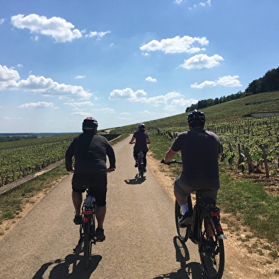 Aux tours des vins de Bourgogne 