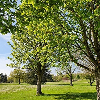 Circuit parcs et jardins de Paray-le-Monial - PARAY-LE-MONIAL