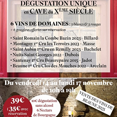 Cave 'Les Ateliers du VIN & de l'Art' (by Maison Billy) - Vente des Vins 2025 : Dégustation Prestige en Cave du Xème siècle
