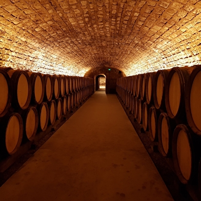 La Grande Cave de Vougeot