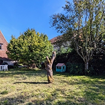 Arthemise - BROTTE-LES-RAY