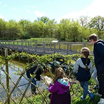 Colonisation forestière : Arche de la biodiversité - SAINT-ELOI
