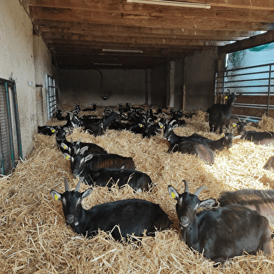 Les Coulisses du Terroir - La Ferme de Masolat