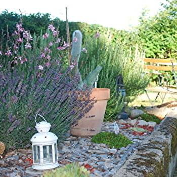 Les  Oyasses - SAINT-PARIZE-LE-CHATEL