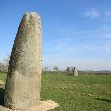 Menhirs d'Epoigny