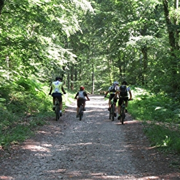 Tour du Grand Bois - VEZELOIS